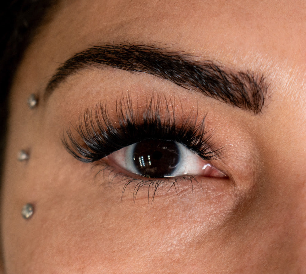 LemLashes „The Boom“ C CURL 10-16mm