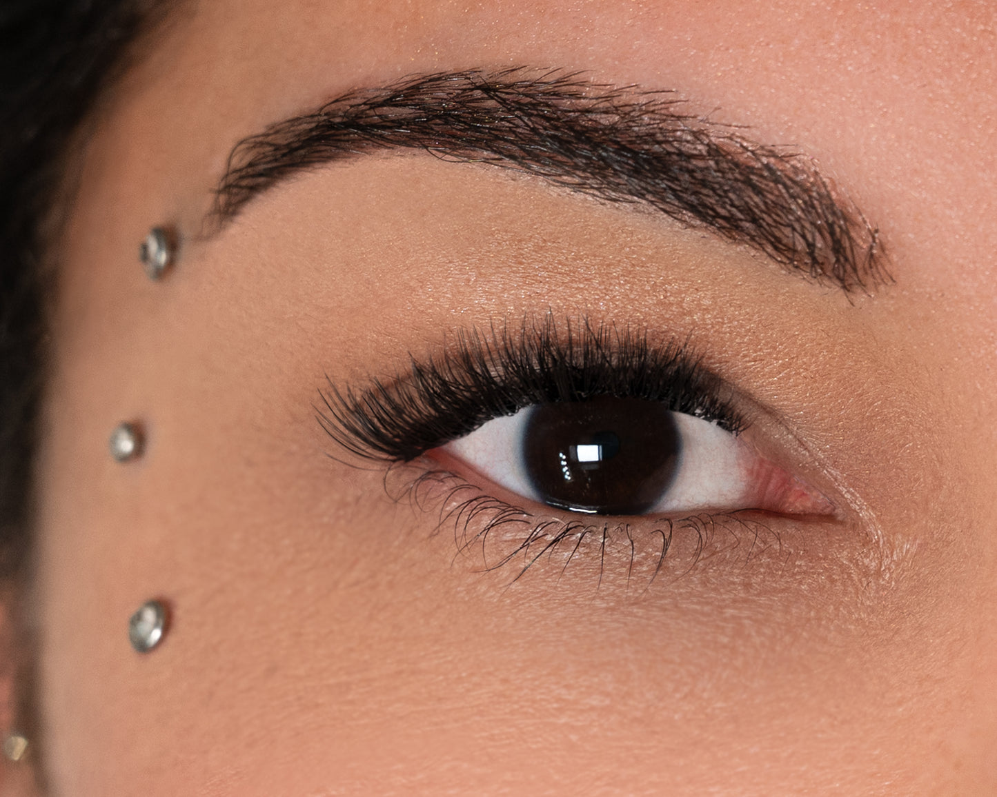 LemLashes „Natural Babe“ C CURL 6-12mm