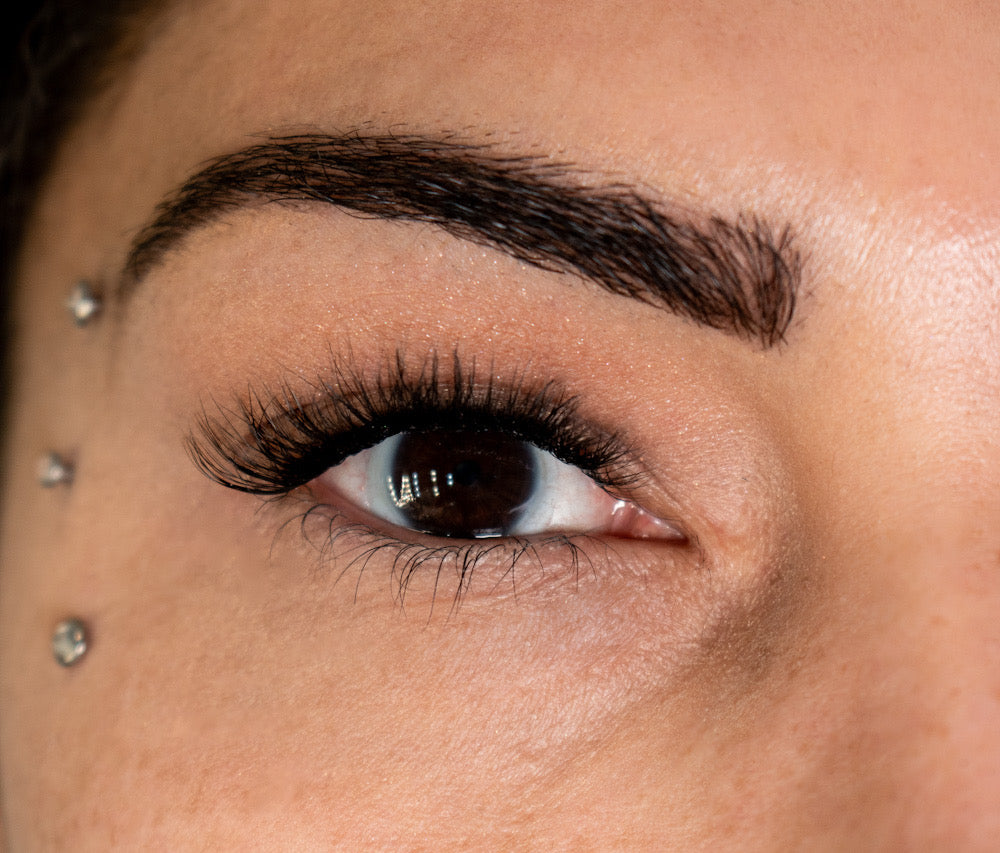 LemLashes „The Lightly“ C CURL 8-12mm