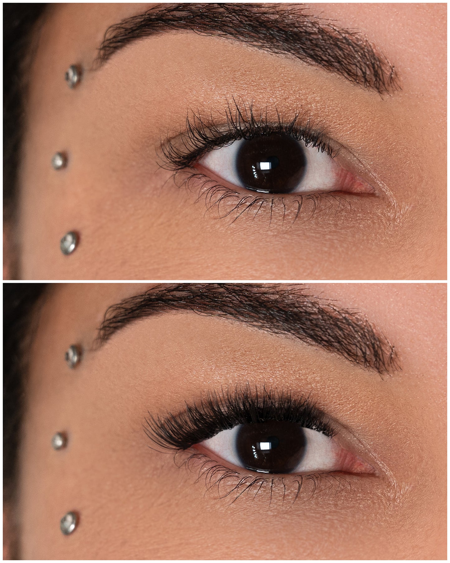 LemLashes „Natural Babe“ C CURL 6-12mm