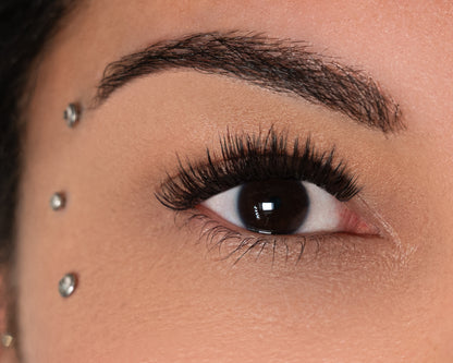 LemLashes „Angel Eyes“ C CURL 9-12mm