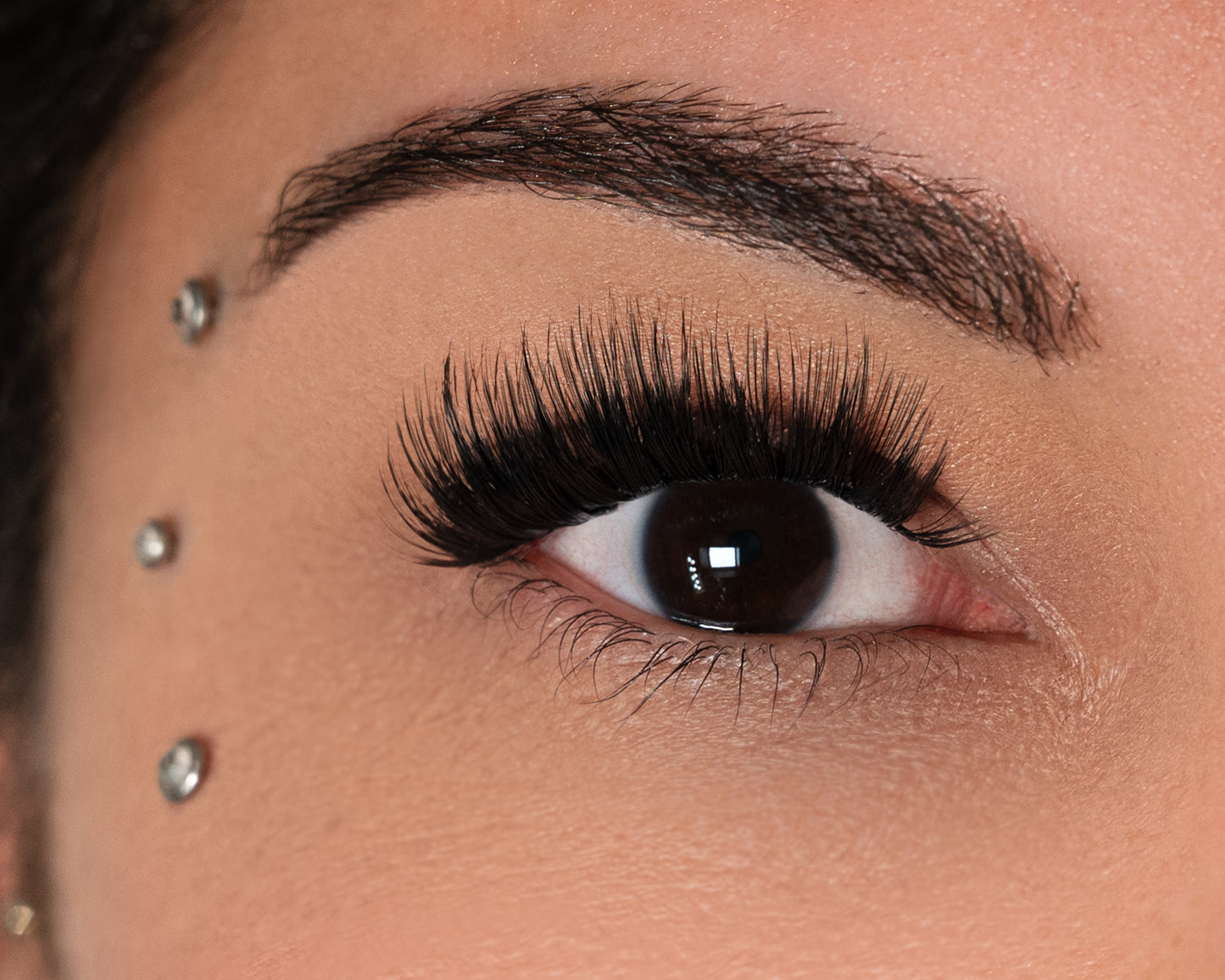 LemLashes „The Boom“ C CURL 10-16mm
