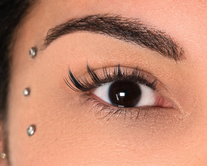 LemLashes „The Baddie“ C CURL 8-16 mm