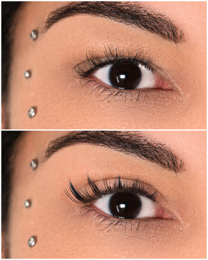 LemLashes „The Baddie“ C CURL 8-16 mm